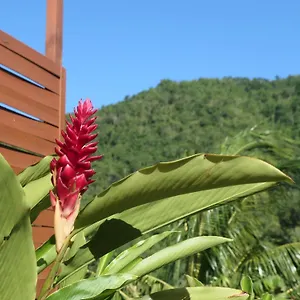 https://bougain-fleuri.comcaribbean.com